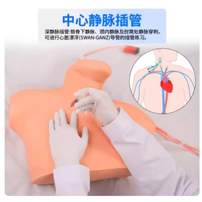 教具：中心靜脈穿刺訓練模型